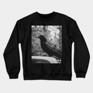 The Raven Crewneck Sweatshirt